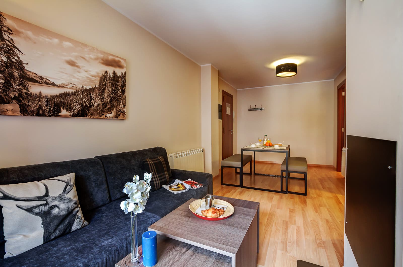 Apartamentos P&V El Tarter, imagem 3
